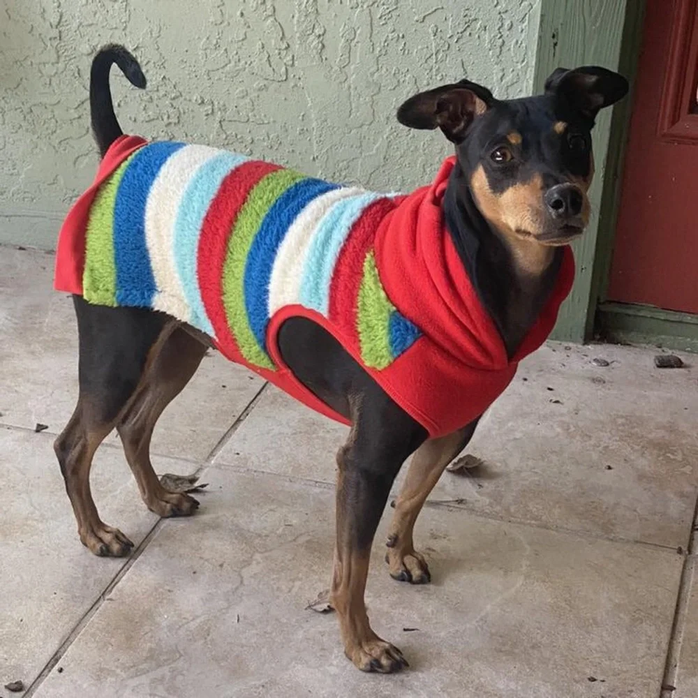 WINTER SHERPA SWEATER *DOG *CAT *NEW *FESTIVE HOLIDAY HOODIE *XS
